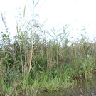 IMG_1253.JPG