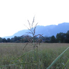 IMG_1257.JPG