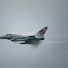 ABD0096-20190906.jpg