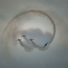 ABD0080-20190906.jpg