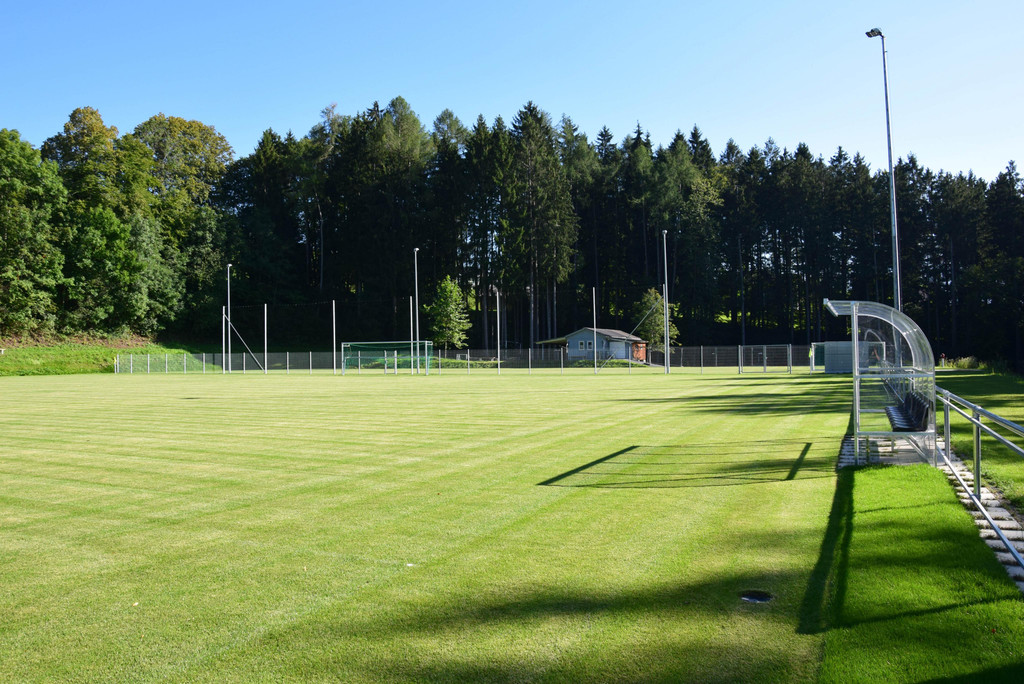 DSC_1441a.jpg