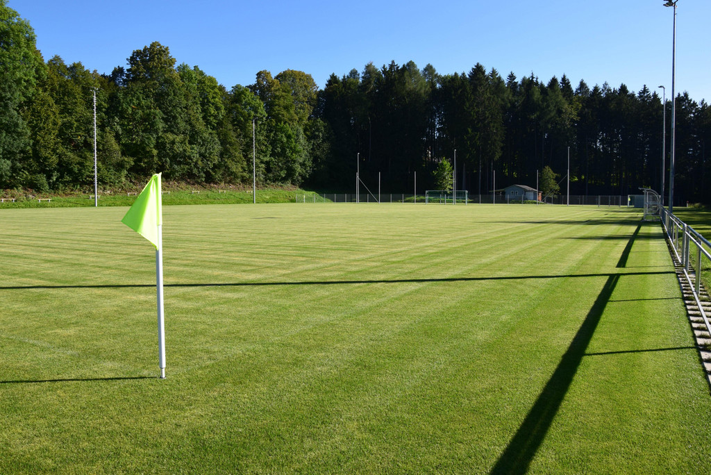 DSC_1445a.jpg