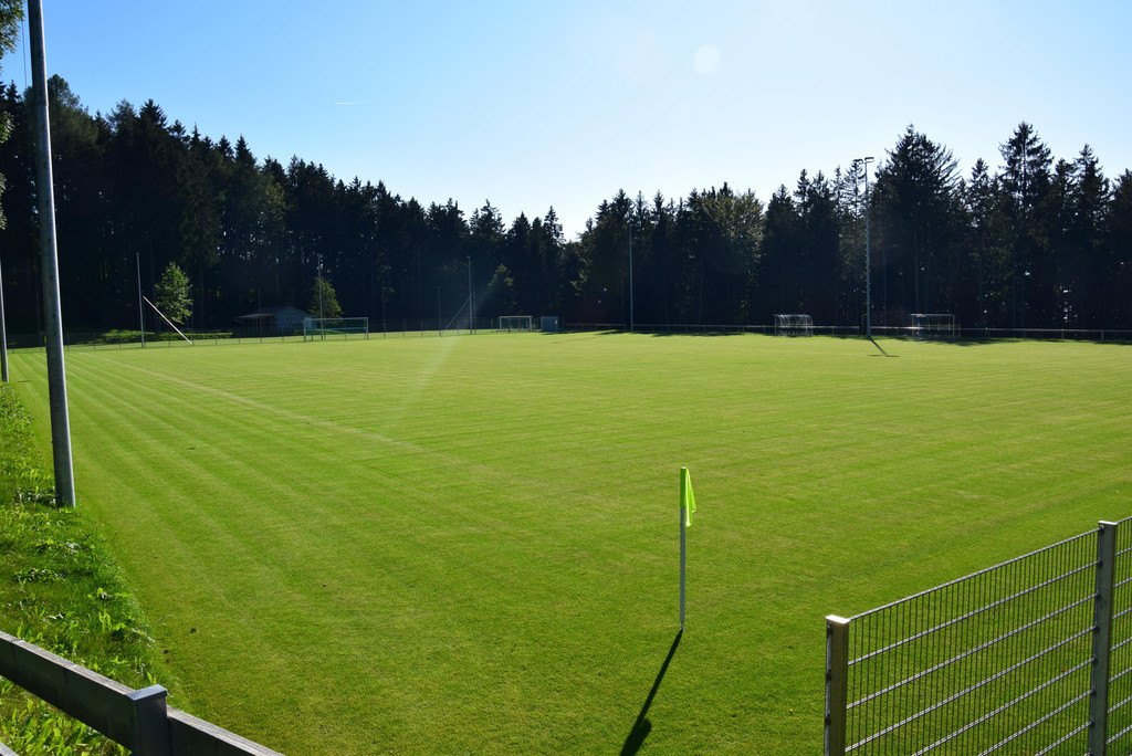 DSC_1451.JPG