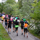 DSCI2311.JPG