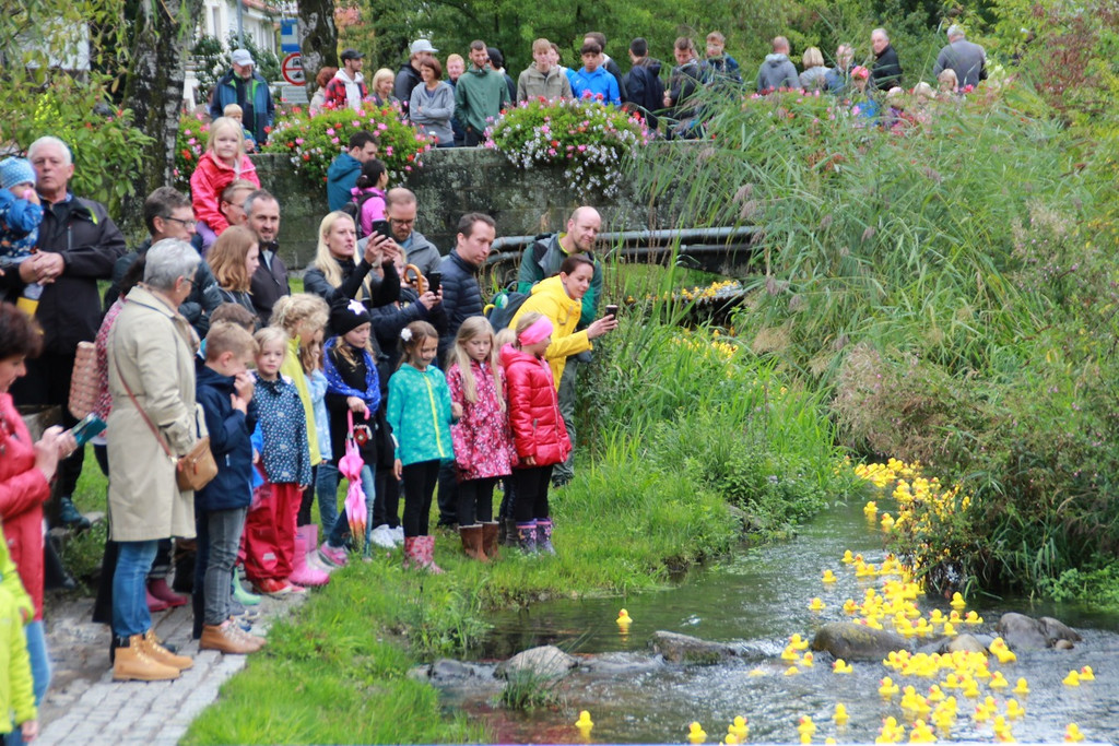 Duck Race Hard 5.jpg