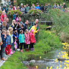 Duck Race Hard 5.jpg