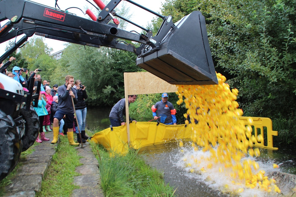 Duck Race Hard 11.jpg