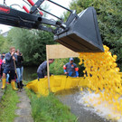 Duck Race Hard 11.jpg