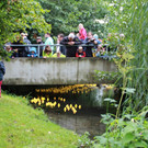 IMG_9499_jiw.jpg