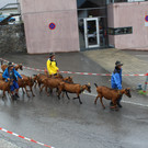 IMG_1444.JPG