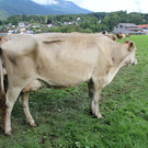 IMG_1605.JPG