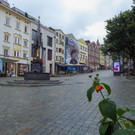 P1020904.jpg