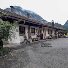 20190906_164916__.jpg