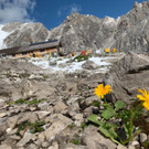 Neubau Totalphütte