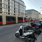 IMG_20190912_083228.jpg