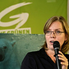 Zweite Plakatserie der Grünen präsentiert