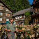 Alptag in Schwarzenberg 2019 I