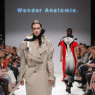 wonder _3_.jpg