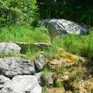 DSC_0121.JPG