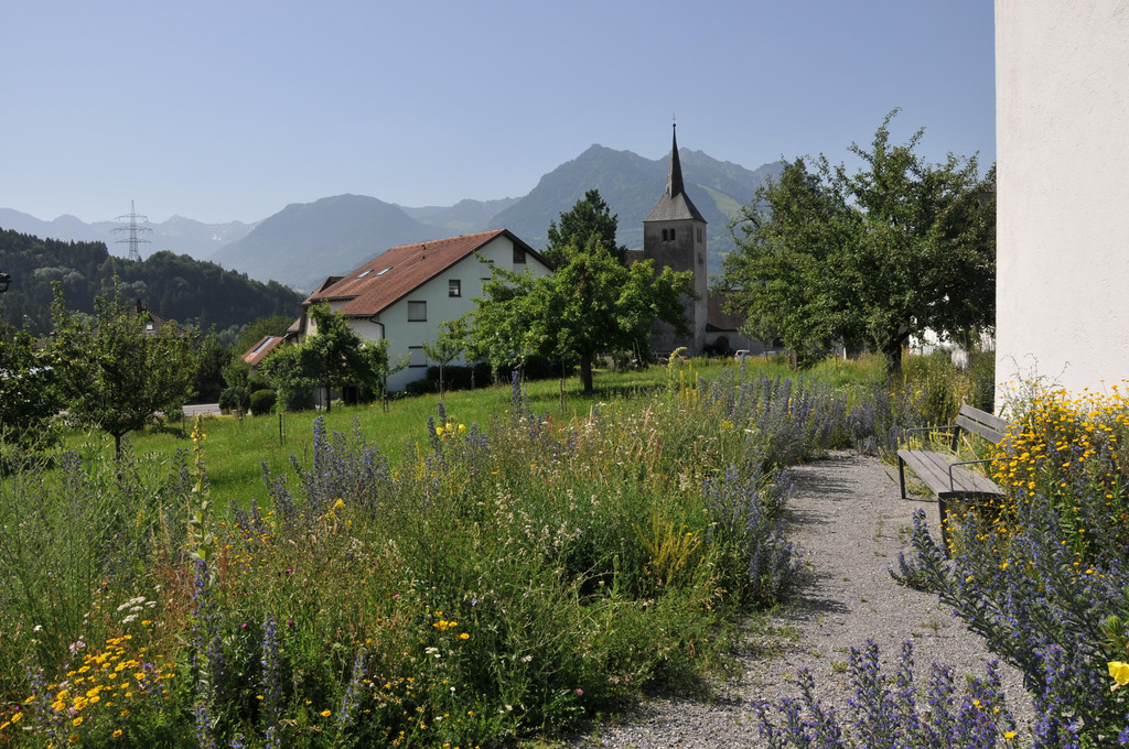 Foto Nr_ 20.jpg