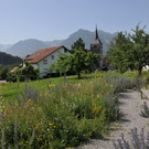 Foto Nr_ 20.jpg