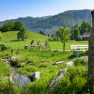 Freizeitoase G__fis.jpg