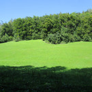 IMG_2687.JPG