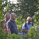 26 Naturkindergarten_Altwies.jpg