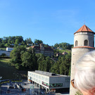 IMG_2229.JPG