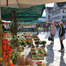DSC_1725.JPG