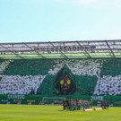 Rapid gegen Admira