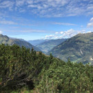 IMG_6705.jpg