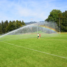 DSC_1568.JPG