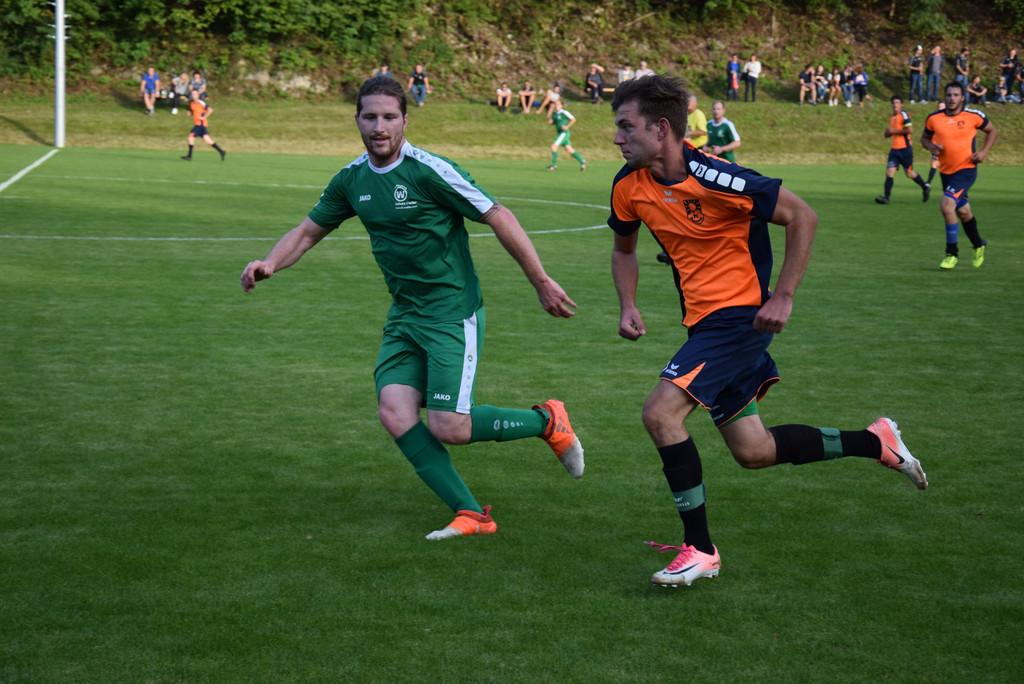 DSC_1646.JPG