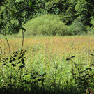 IMG_2683.JPG