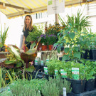 Herbstmarkt am Mahlerhof Höchst