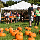 Der Obst- und Gartenbauverein Lustenau lud zum Kürbisfest ein. 