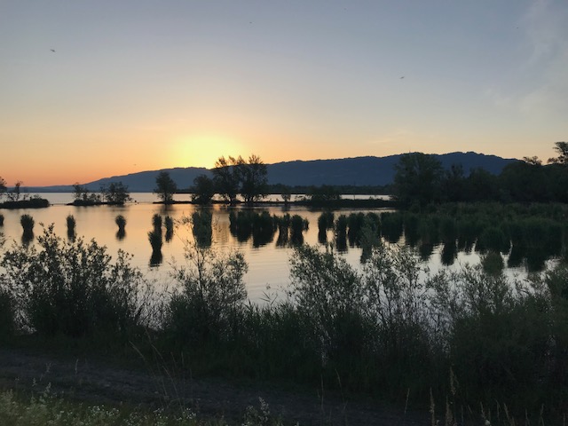 Schleienl__cher 2018.jpg