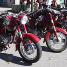 P9151833.JPG