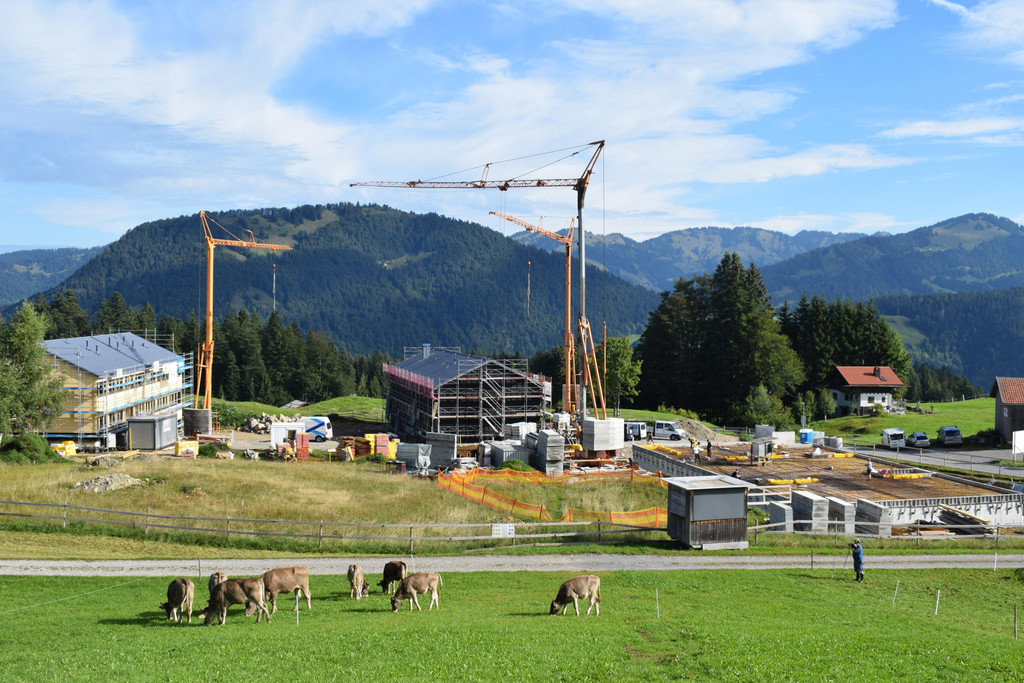DSC_0287.JPG