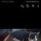 Screenshot_20190915_222623_com_facebook_katana.jpg
