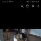 Screenshot_20190915_222639_com_facebook_katana.jpg