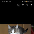 Screenshot_20190915_222632_com_facebook_katana.jpg