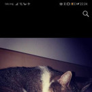 Screenshot_20190915_222501_com_facebook_katana.jpg