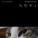 Screenshot_20190915_222648_com_facebook_katana.jpg