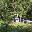 Alt-Ems_Burgyoga19_jpg.JPG