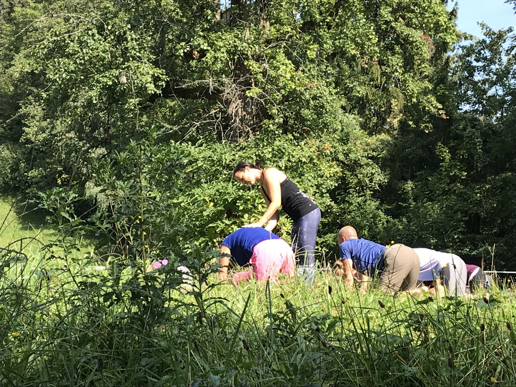 Alt-Ems_Burgyoga19_jpg.JPG