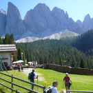 1-P1140652.JPG