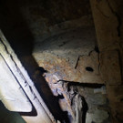 p11809-foto-4.jpg