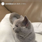 Screenshot_20190609-201413_Instagram.jpg
